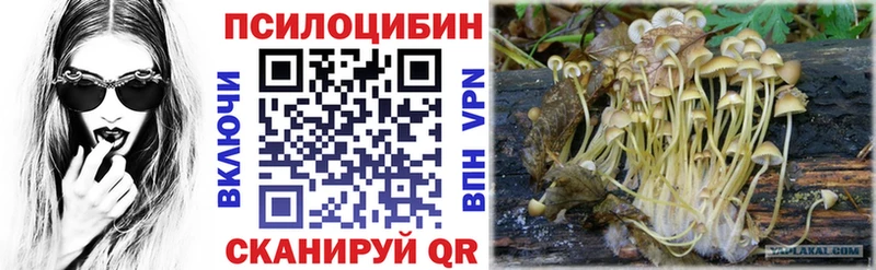 hydra сайт  где купить наркоту  Стрежевой  Галлюциногенные грибы Psilocybe 