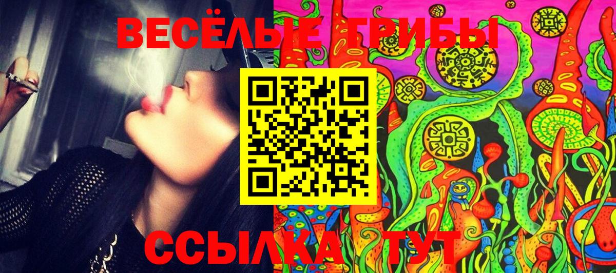 Галлюциногенные грибы прущие грибы  Псилоцибиновые грибы прущие грибы  Стрежевой 