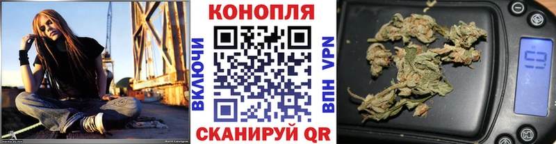 Конопля планчик Стрежевой