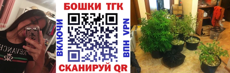 Бошки Шишки Ganja  где купить наркоту  OMG tor  Стрежевой 